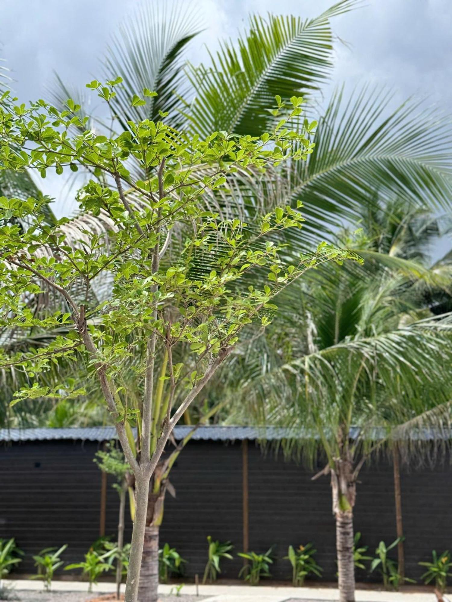 Wanderlust Garden Inn Mui Ne Exterior foto